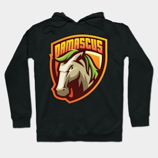 Damascus Horse Hoodie